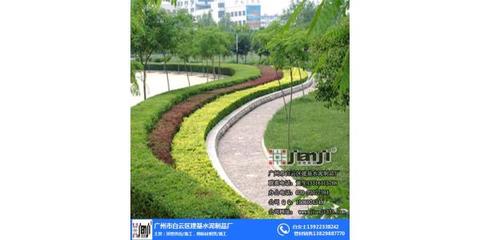 花都區(qū)校園園林綠化施工公司造價(jià)_建基水泥安全高效
