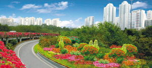 深南大道園林綠化景觀(guān)提升工程動(dòng)工
